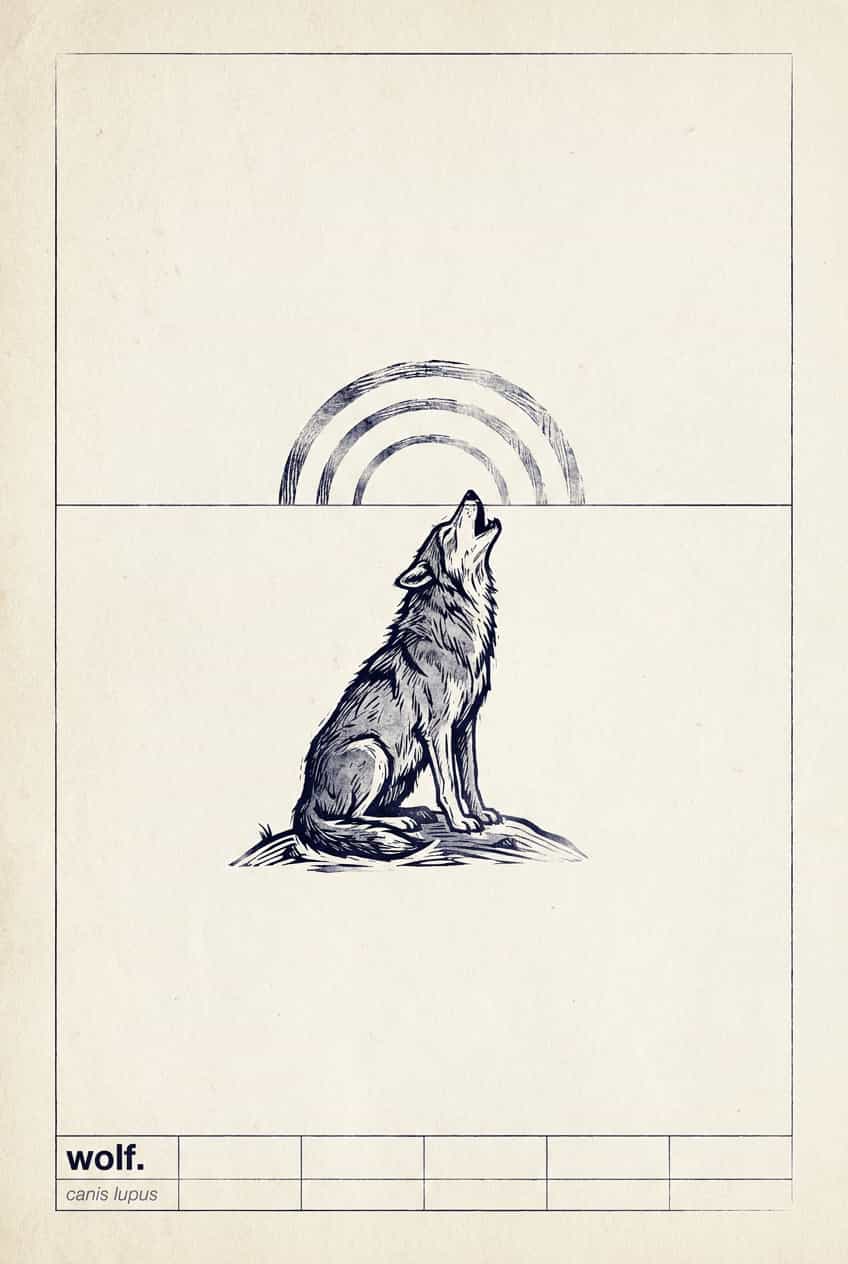 Poster of a majestic wolf, Canis Lupus, with detailed fur and piercing eyes.